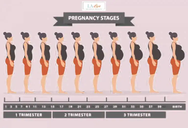 First Trimester (Weeks 1–12): Early Changes You Might Not Notice Cheltenham